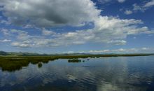 凉爽的风温馨的爱