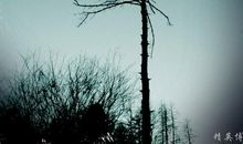 身边的善人善事