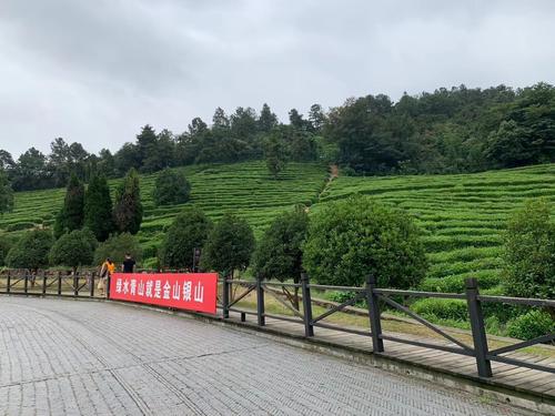 写苏州乐园的构图