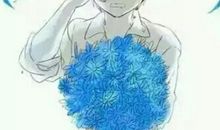 那个让我心疼的人