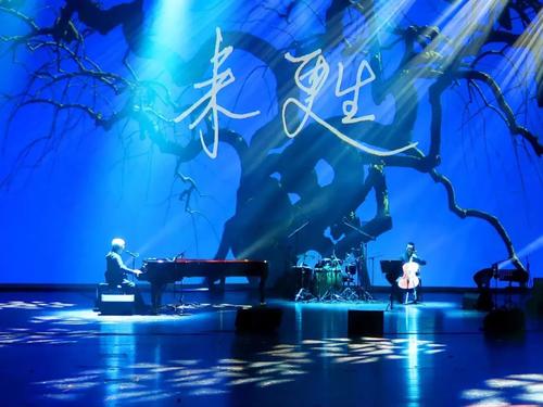 大自然的音乐会