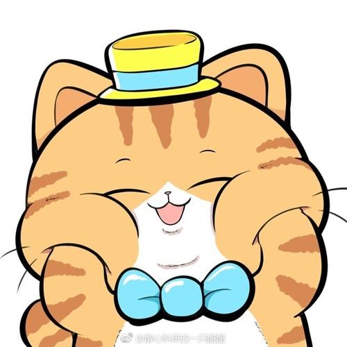 我从未如此激动过