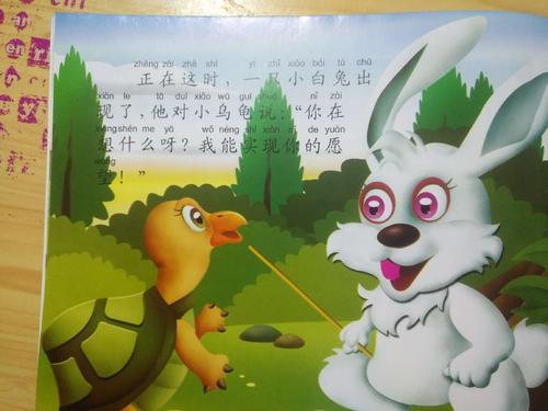 我要告诉你的小乌龟