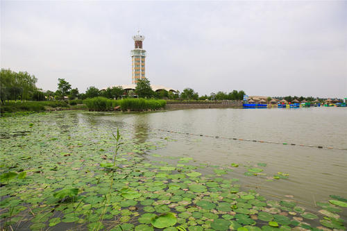 美丽的明翠湖