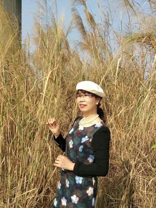 美丽的仙鹭岛