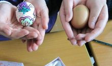 我们班级的“宝贝蛋”们