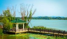 那处别样的风景