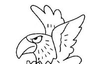 带着友谊的翅膀飞翔