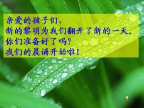 读书叶子