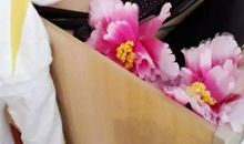 很想为你们唱首歌