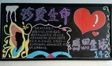 生命因感恩而精彩