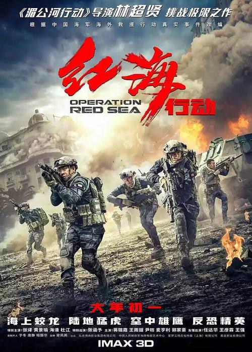 关于“红海行动”的思考