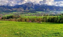 春天最美丽的风景