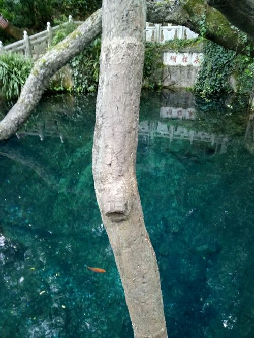 你蝴蝶春天
