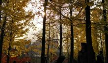 秋天的世纪公园