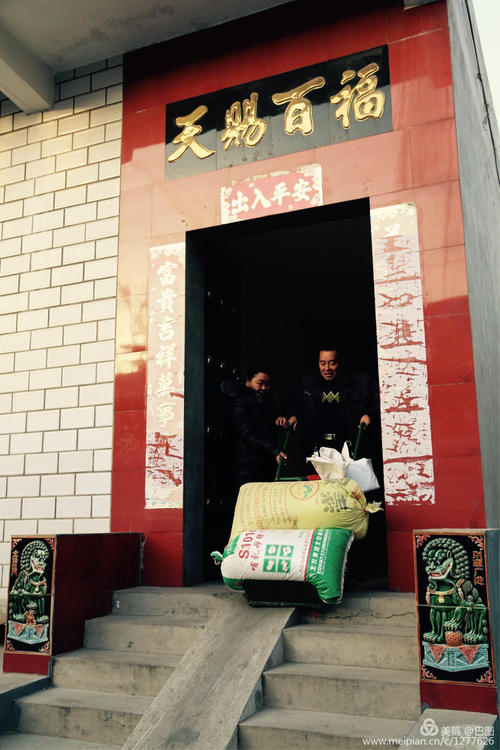 怀念童年的老树