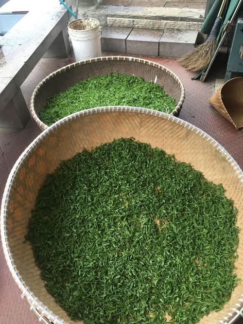 我很快乐，因为我住在乡下