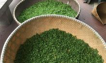 我快乐因为我生活在农村