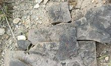 我和“青田废石”的战争