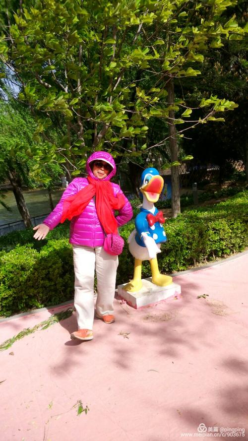 难忘的郊游