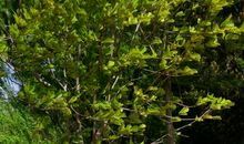 令人难忘的郊游