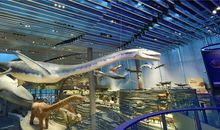 上海自然博物馆游记