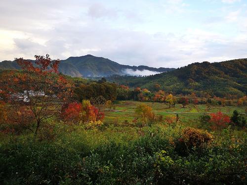 前花古村落魅力