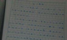 介绍一样物品作文400字