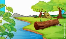 我设计的郊外活动