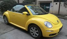 调皮“甲壳虫”