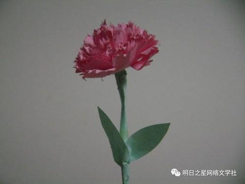 另一种母亲