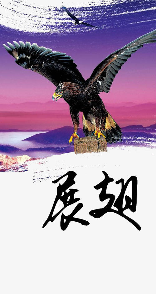 那个时候飞得很高
