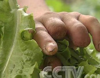 爷爷的手指断了