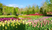 人生只有一个春天