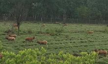 难忘的盐城之旅