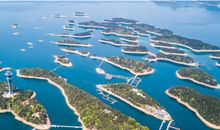 令人流连忘返的鲸鲨馆