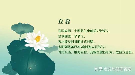关于丽霞的组成