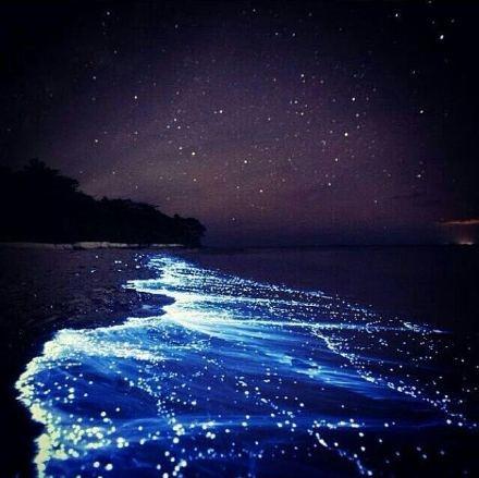 梦幻般的海
