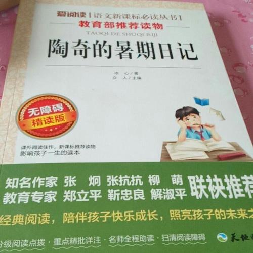 关于陶琦暑假日记的思考