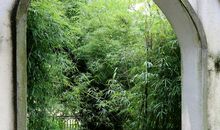 窗外那一道风景