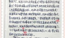 关于打架的作文