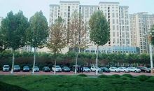 在善良的感召下前行