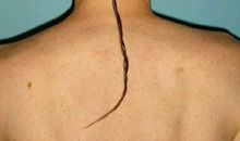 这件事真让我忍俊不禁