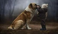 信赖是那么美好