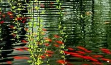 让春天走向心灵