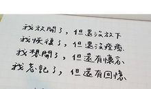 因为怀念我写下他