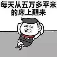 如果我有钱