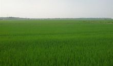 晒晒家乡的生活