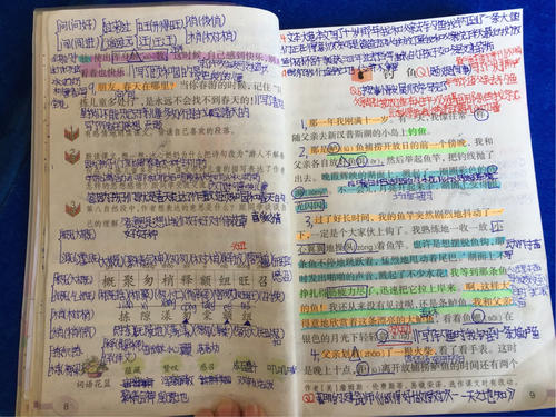 我的预览