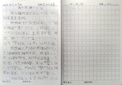 关于鞋子的成分